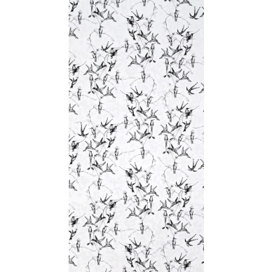 Rain Birds White Black image