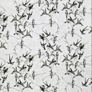 Rainbirds musta valkoinen lintutapetti Mimoulta image