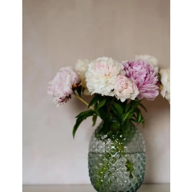 Antique Rose roosa myrkyton kalkkimaali Kalklitirlita image