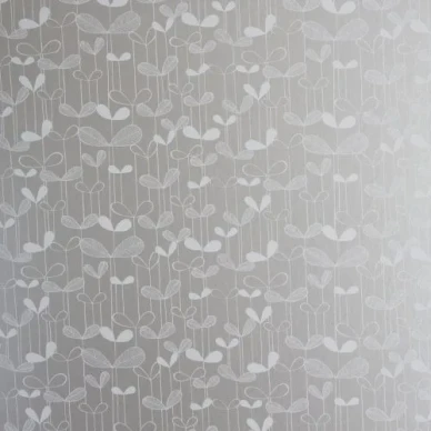 Saplings silver whit white image