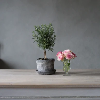 Concrete Primo harmaa luonnonystavallinen kalkkimaali Kalklitir image