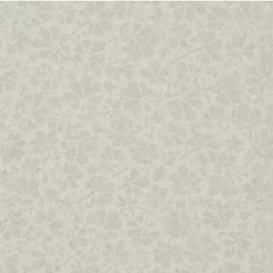 Arlay Silver image