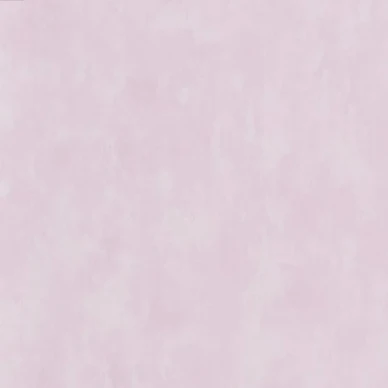1557 image