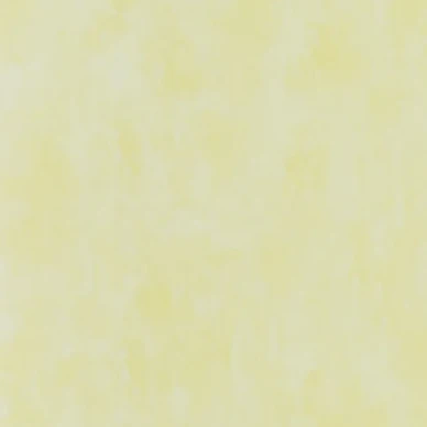 Designers Guild Parchment enfärgad tapet Alchemilla image