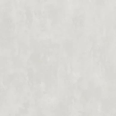 Designers Guild Parchment enfärgad tapet Silver Birch image