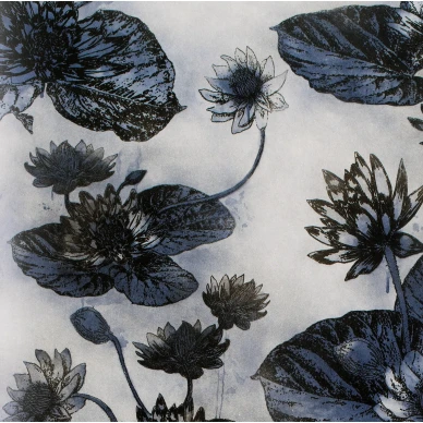 Mimou Lotus Lake tapet deep image