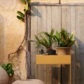 Ferm Living Plant box uusi vari Straw 1104267245