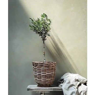 Linda ekologinen kalkkimaali Kalklitirilta  image