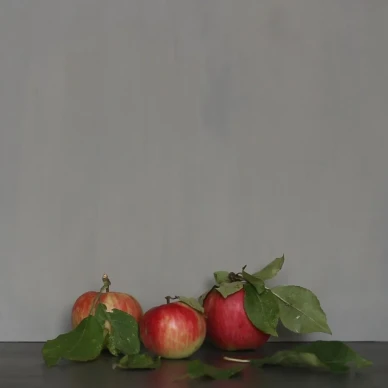 Linda kalkkimaali Kalklitirilta image