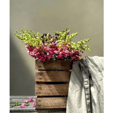 Linda myrkyton kalkkimaali Kalklitirilta image