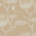 Cole & Son Lily blommig tapet 69-3113