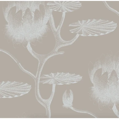 Cole & Son Lily blommig tapet image