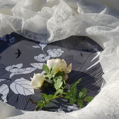 Harmaa pohjanmaatarjotin Ostrobothnia image