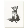 Red Fox Kettujuliste