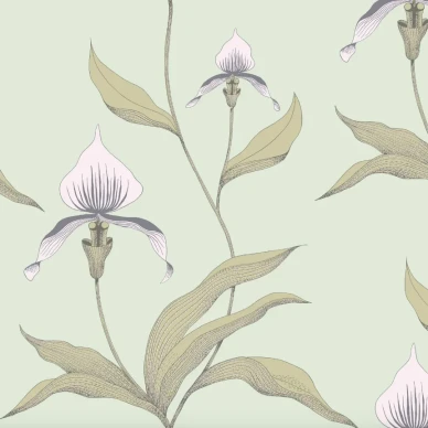 Cole & Son Orchid tapet med blommor image