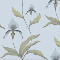 Cole & Son Orchid tapet med blommor