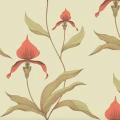 Cole & Son Orchid tapet med blommor