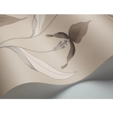 Cole et Sonin beige kukkatapetti Orchid 95 10058 image