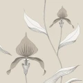 Orchid beige kukkatapetti Cole et Sonilta 95 10058