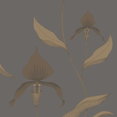 Orchid tummanharmaa kukkatapetti pronssikuviolla Cole et Sonilta 95 10056 image