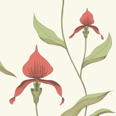 Orchid valkoinen punainen kukkatapetti Cole et Sonilta 95 10054 image