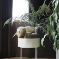 Ferm Living Plant Box Round - blomkruka