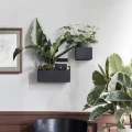 Ferm Living Plant Box Wall Square