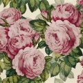 Designers Guild The Rose tapet Tuberose