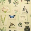 Designers Guild Flora and Fauna tapet parchment
