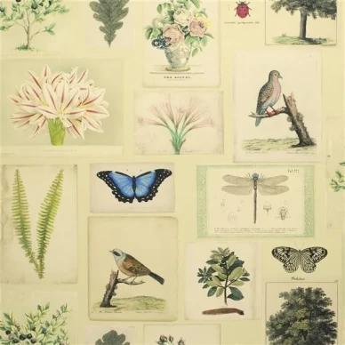 Designers Guild Flora and Fauna tapet parchment image
