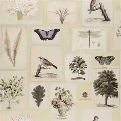 Designers Guild Flora and Fauna tapeter canvas image