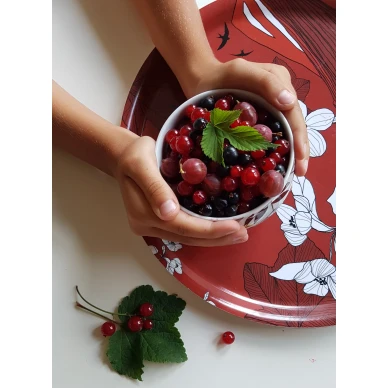 Punainen pohjanmaatarjotin Aveolta image