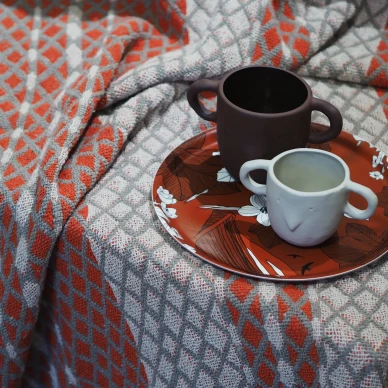 Punainen viltti ja punainen tarjotin image