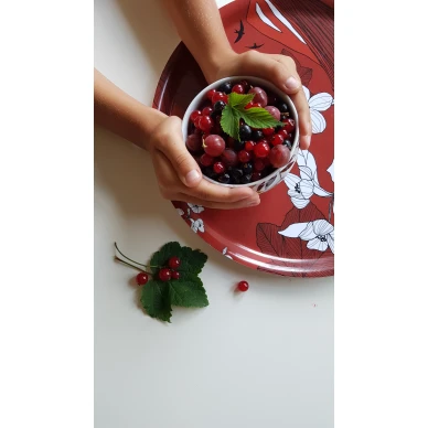 Rod Osterbottenbricka image