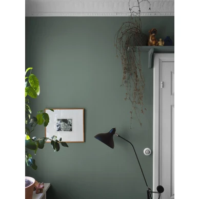 Vihrea tapetti DuskGreen image