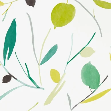 Oxalis tapeter image