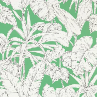 Parlour Palm vihrea palmutapetti Scionilta image