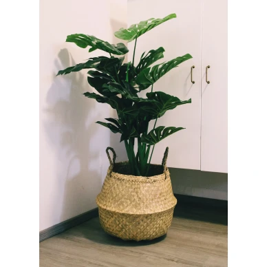 Floria Nature sailytyskori image