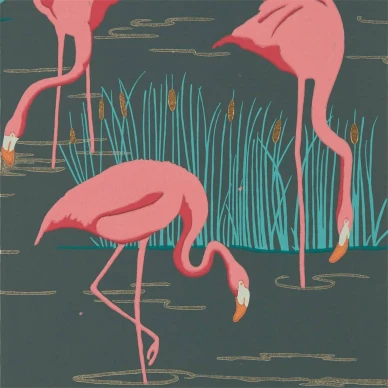Salinas fågel tapeter på mörk bakgrund och mörkrosa flamingo image