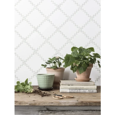 Sanduddin Bladtapeter på vit bakgrund och grön löv skulle passa bra i kök ditt hem. image