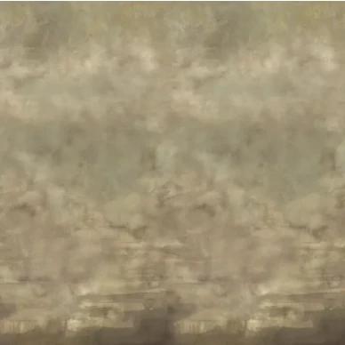 3110 image