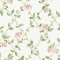 blommig tapet Honeysuckle på en vita bakgrund och rosa blommor