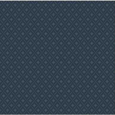 Windrose -kompass tapet med mörkblå bakgrund och grått mönster image