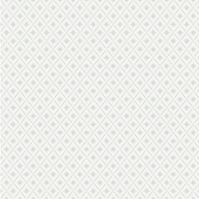 Windrose -kompass tapet med vita bakgrund och gråa mönster image