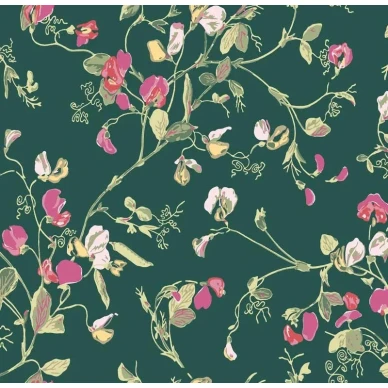Cole & Son Sweet Pea tapet image