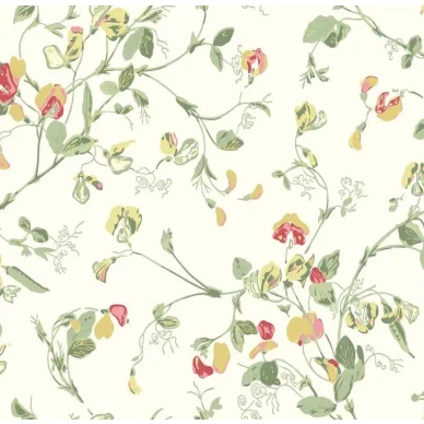 Cole & Son Sweet Pea tapet image