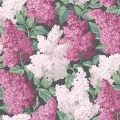 Cole & Son Lilac tapet