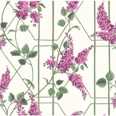 Cole & Son Wisteria tapet image