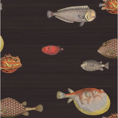 Cole & Son Acquario fisktapet svart image
