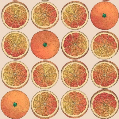 Cole & Son Arance tapet apelsin image